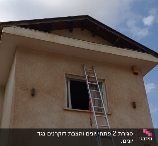 סולם מונח על קיר בית ליד חלון פתוח